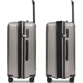 Redolz Essentials 14 4-Rollen Cabin 65 cm / 81 l grau