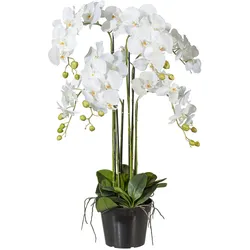 CREATIV green CREATIV. green künstliche Pflanze Phalaenopsis 90cm