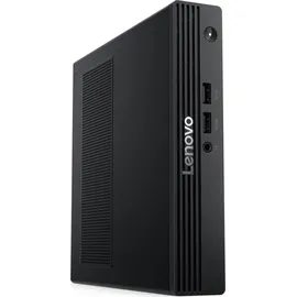 Lenovo ThinkCentre V100q N100 2023 8 GB RAM 256 GB SSD Linux