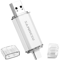 SANKESU 256GB USB Stick 3.0 USB C Flash-Laufwerke USB-A & Typ-C OTG Speicherstick, Dual Memory Sticks für PC/Tablet/Laptop/Typ C Handy(Silber)