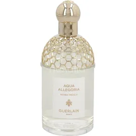 Guerlain Aqua Allegoria Herba Fresca Eau de Toilette 125 ml