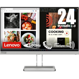 Lenovo L24i-40 - TFT-Monitor - cloud grey