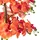 Atmosphera Créateur d'intérieur Künstliche Orchidee im Blumentopf, 65 cm - Orange