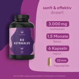 True Nature Bio Astragalus Kapseln 270 St.