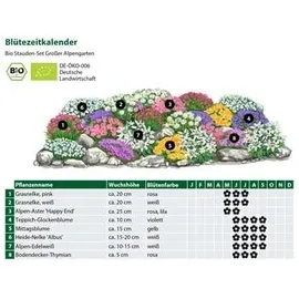 Dehner Bio Stauden-Set Großer Alpengarten, 24-teilig, Bunt