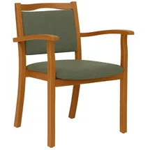 erides Seniorenstuhl Alexander Polyester grün