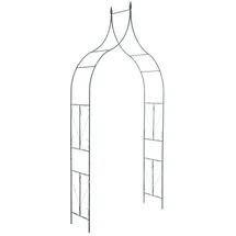 CLP Rosenbogen 40er 0 x 0 x 0 cm Grün