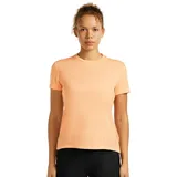 Icebreaker Merino Core Panax beige S