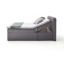 SUN GARDEN Boxbett GABRIOLA