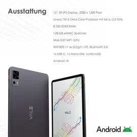 Vale V12E LTE-8128 12" 2024 8 GB RAM 128 GB Grau
