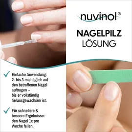 r(h)ein nutrition & health gmbh Nuvinol Nagelpilz Lösung