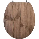 Primaster TrendLine Woody Braun