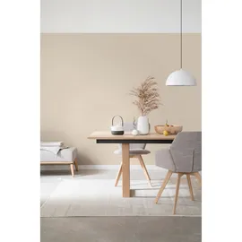 Schöner Wohnen Trendfarbe 1 l cosy matt