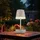 GLOBO Solarleuchte Edelstahl H 25 cm 2er Set sandfarben