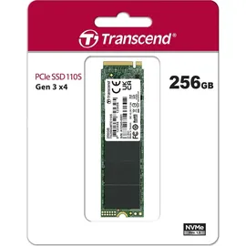 Transcend 110S 256GB (TS256GMTE110S)