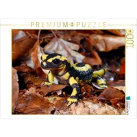 Calvendo Puzzle Feuersalamander 1000 Teile Lege-Größe 64 x 48