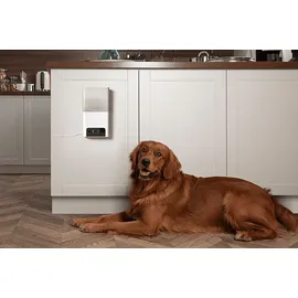 Petcube Bites 2 Lite Weiß