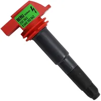 BorgWarner (Beru) (BERU) Zündspule