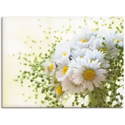 Wandbild ARTLAND "Gänseblümchen und Hofstaat", weiß (farbe bild(er): weiß), B:80cm H:60cm, Canvas, Leinwand, Bilder, als Leinwandbild, Poster, Wandaufkleber in verschied. Größen