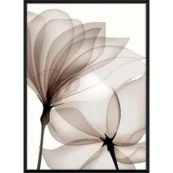 Bild Kenzo Multicolor ca. 50x70cm