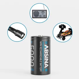 Absina Baby (C)-Akku NiMH 4500 1,2V