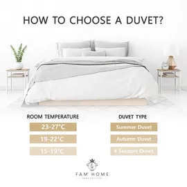 FH FAM' HOME HOME COSINESS FAM Home Bettdecke 140x200 Weiche Mikrofaser Waschbar Ganzjährig I Zudecke Antiallergisch für Allergiker I Gesteppte Steppdecke