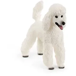 Schleich Spielzeugfigur Pudel 4059433320786 SCHLEICH 13917
