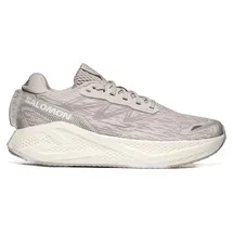 Salomon Aero Glide 4 Herren Silver Cloud/Silver Cloud 43 1/3