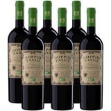 Doppio Passo Primitivo BIO, Rotwein Italien (6 x 0,75l)