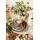 SELTMANN WEIDEN Liberty Pure Colors Kaffeeservice 18-tlg. Cocoa Brown