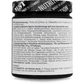 MST NeuroPump Apfel Pulver 270 g