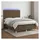 vidaXL Boxspringbett mit Matratze & LED Dunkelbraun 140x200 cm Stoff