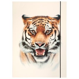Folia 69004 - Sammelmappe A3 Basic Roaring Tiger, aus stabilem Karton mit Gummiband