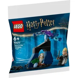 LEGO® Harry PotterTM 30677 Draco im Verbotenen WaldTM