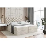 altdecor BOXI8 180 x 200 cm H4 Beige/Goldfarben