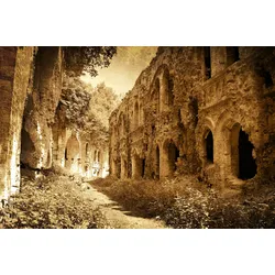 Fototapete PAPERMOON "RUINEN-SCHLOSS MAUER ALT VINTAGE KÜNSTLICH BURG RETRO", bunt, B:3,00m L:2,23m, Vlies, Tapeten