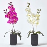 HOMESCAPES 2er-Set Künstliche Orchideen im Topf, pink & creme, 55 cm, Kunst-Orchideen wie echt im schwarzen Keramik-Topf