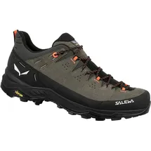 Salewa Alp Trainer 2 Schuhe (Größe 43, braun)