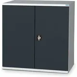 Werkstattschränke mit Flügeltüren - Abm 1000x665x1000mm - Türen RAL 5015 - W030020004-GCBI