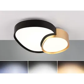 Trio Rise 1 21W rund schwarz-gold