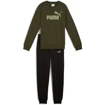 Puma Essentials No.1 Logo Crew Sweat Suit FL B dark olive (70) 176