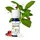 Puressentiel Ätherisches Öl Wintergrün 10 ml