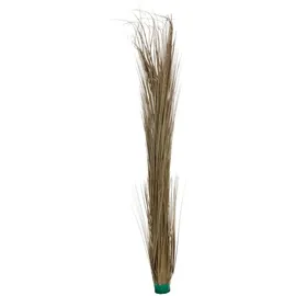 Europalms Schilfgras, khaki, 127cm