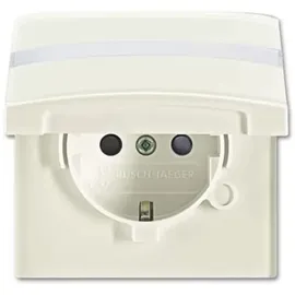 Busch-Jaeger Steckdoseneinsatz 20 EUGKBN-32-101 Weiß 1 St.