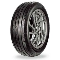 Tracmax S220 315/35 R20 110V