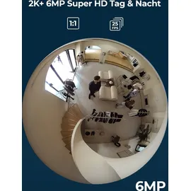 Reolink 6MP 360° Panorama Personenbewegungserkennung, Decken-/Wand-/Tisch-Installation,Schwarz - Reolink