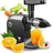 Vandenberg Slow Juicer Inkl. Reinigungsbürste