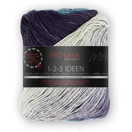 Pro Lana Unbekannt Lana 1-2-3 Ideen 100g 10 Ozean, 010