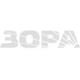 Acer P1558i DLP