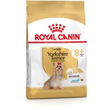 Royal Canin Yorkshire Terrier 8+ 3 kg
